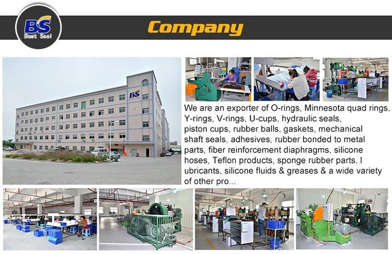 Company(001) Company(001)